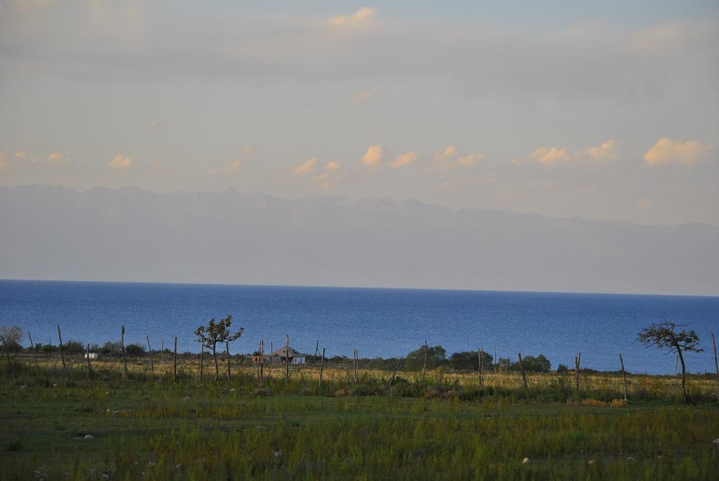 Jurten Camp Almaluu Tong ภายนอก รูปภาพ