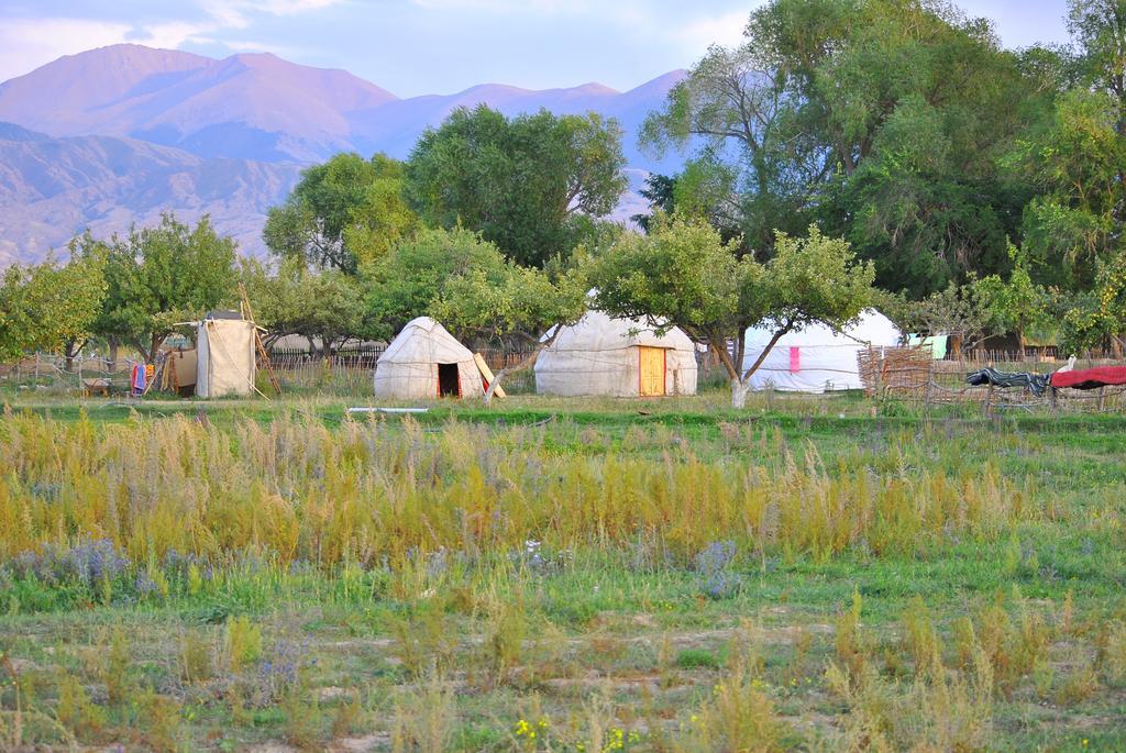 Jurten Camp Almaluu Tong ภายนอก รูปภาพ